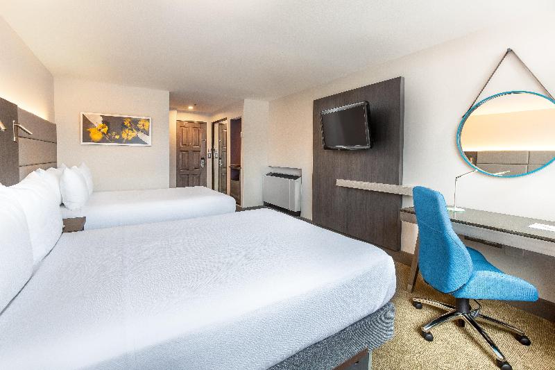 اتاق استاندارد, Hilton Mainz