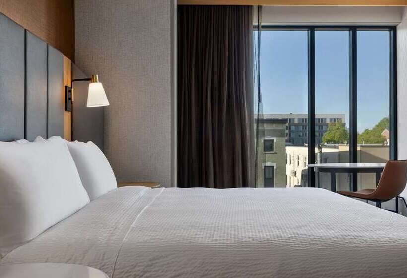 اتاق استاندارد با تخت بزرگ, Hilton Mainz