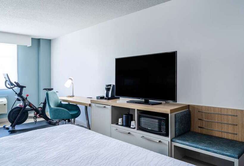 اتاق استاندارد با تخت بزرگ, Hilton Mainz