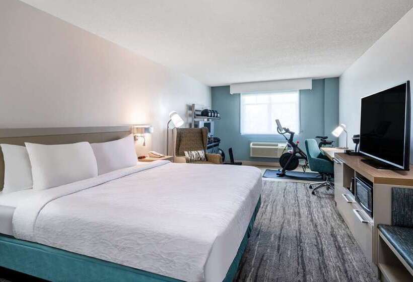 اتاق استاندارد با تخت بزرگ, Hilton Mainz