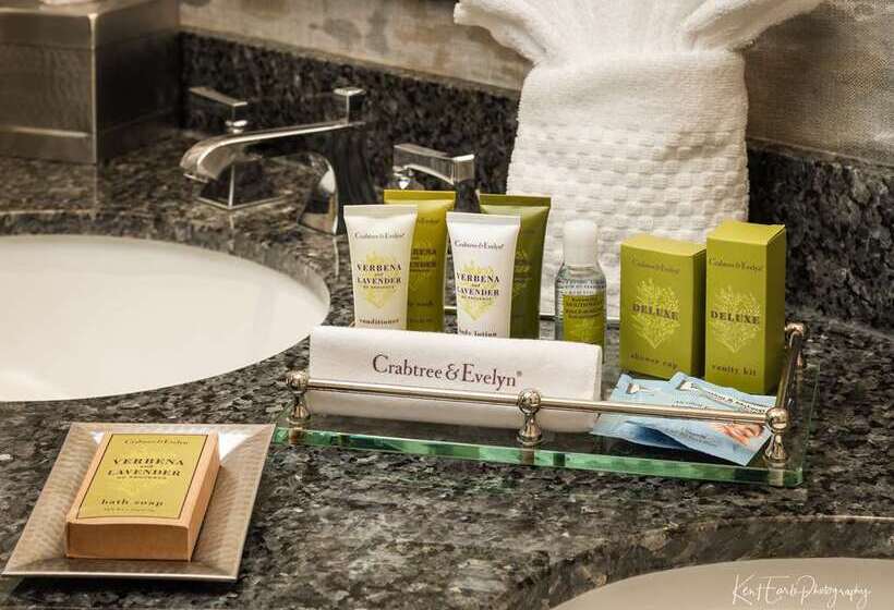 اتاق استاندارد با تخت بزرگ, Hilton Mainz