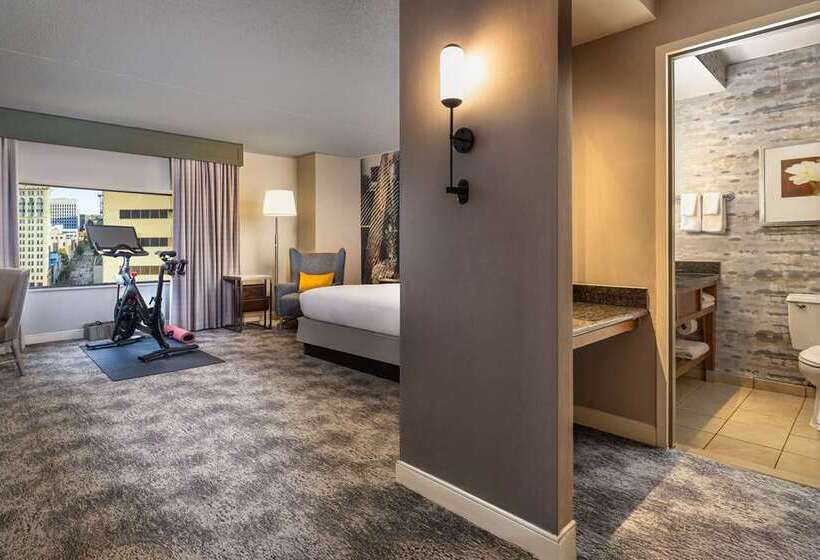 اتاق استاندارد با تخت بزرگ, Hilton Mainz