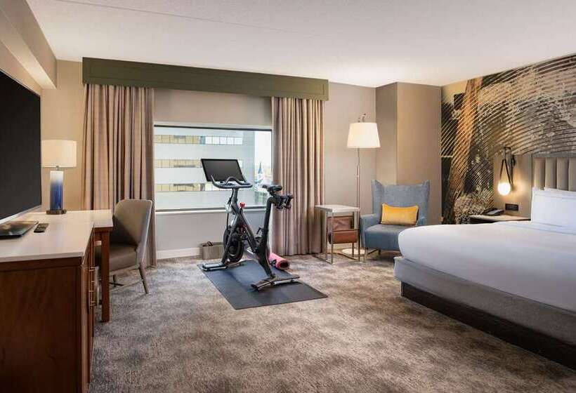 اتاق استاندارد با تخت بزرگ, Hilton Mainz