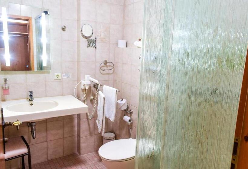 Номер Стандарт с Балконом, Vital  Und Wellnesshotel Albblick