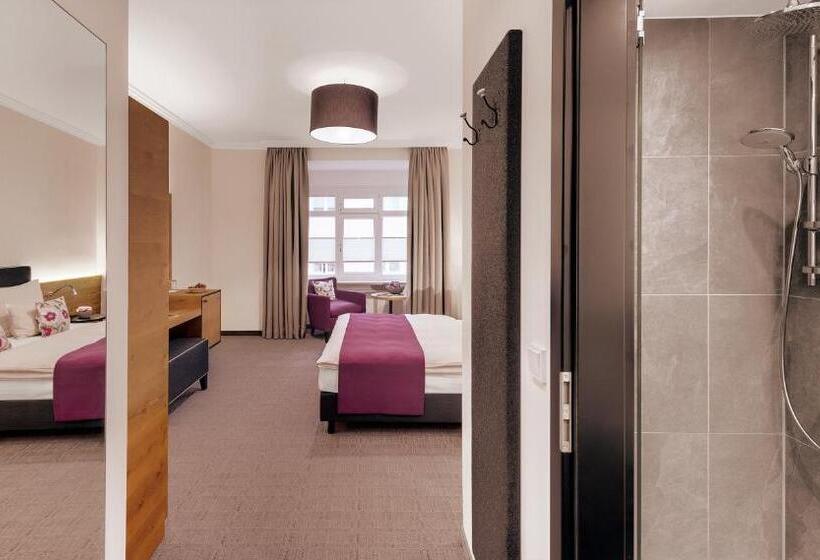 اتاق لوکس, Alpen Hotel München