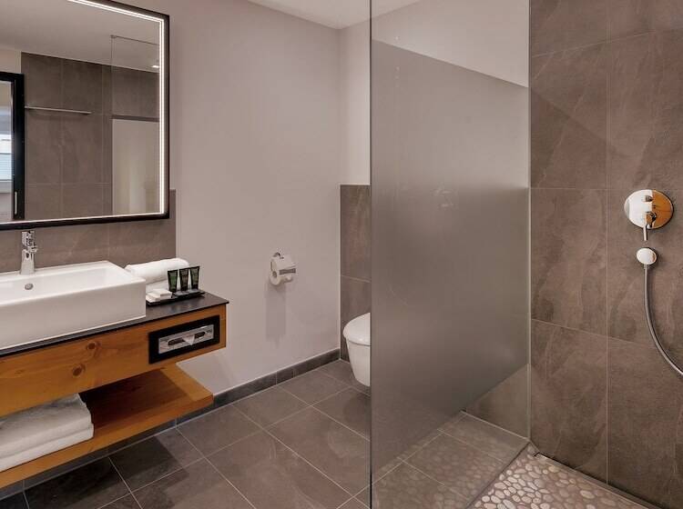 اتاق لوکس, Alpen Hotel München