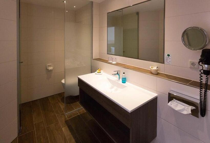 Полулюкс Повышенной Комфортности, Dirsch Wellness & Spa Resort