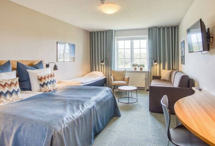 اتاق خانوادگی, Color Hotel Skagen