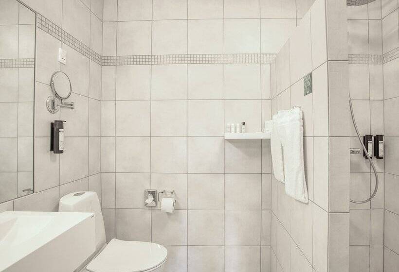اتاق سوپریور, Color Hotel Skagen