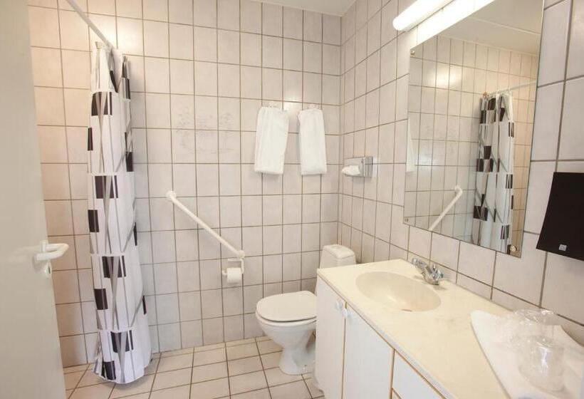 آپارتمان 1 خوابه, Color Hotel Skagen