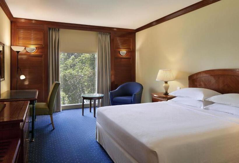 اتاق استاندارد, Sheraton Djibouti