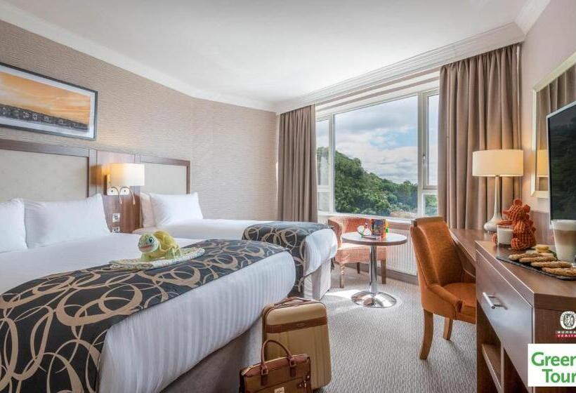 اتاق لوکس یک تخته, Clayton Hotel Silver Springs