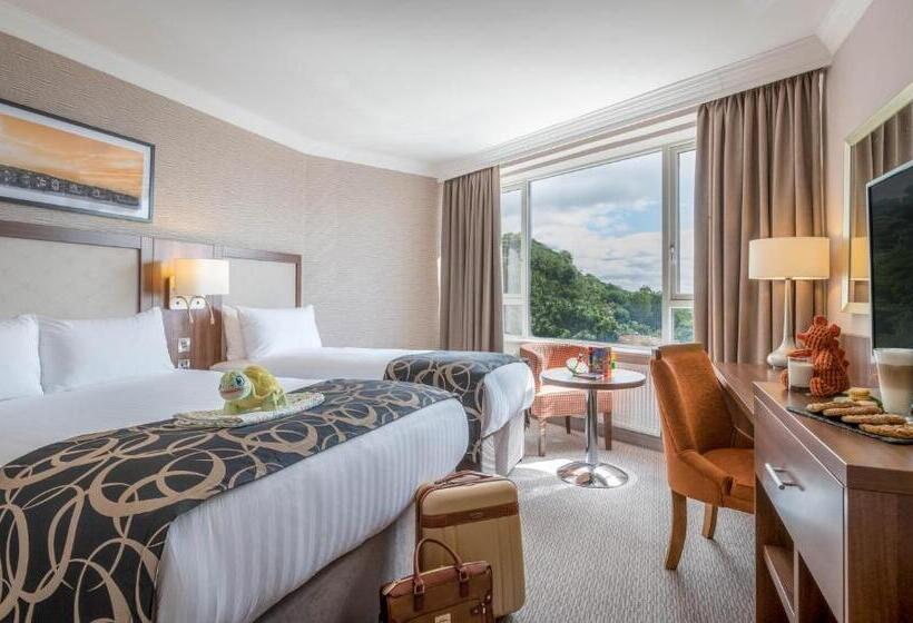 اتاق لوکس یک تخته, Clayton Hotel Silver Springs