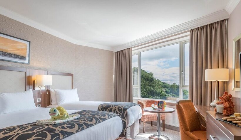 اتاق لوکس خانوادگی, Clayton Hotel Silver Springs