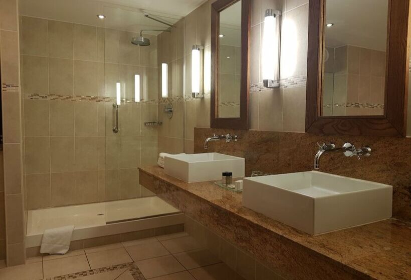 اتاق لوکس, Clayton Hotel Silver Springs
