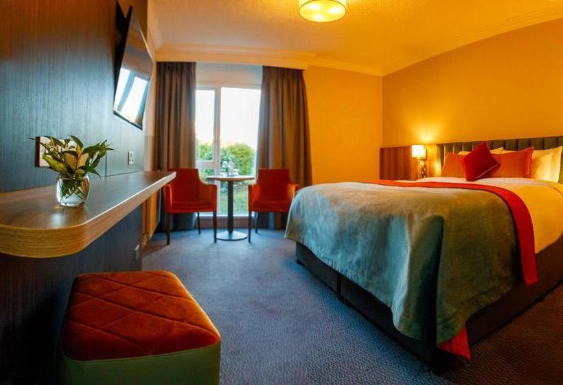 اتاق استاندارد با تخت بزرگ, Greenhills Hotel Limerick