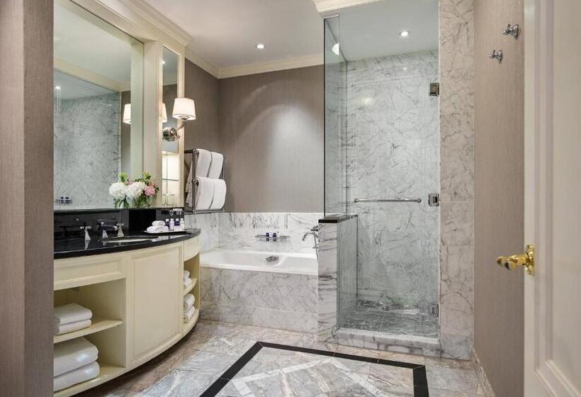 اتاق استاندارد با تخت بزرگ, The Shelbourne, Autograph Collection