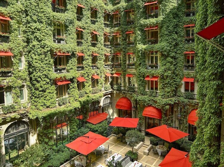 سوییت جونیور, Plaza Athenee  Dorchester Collection