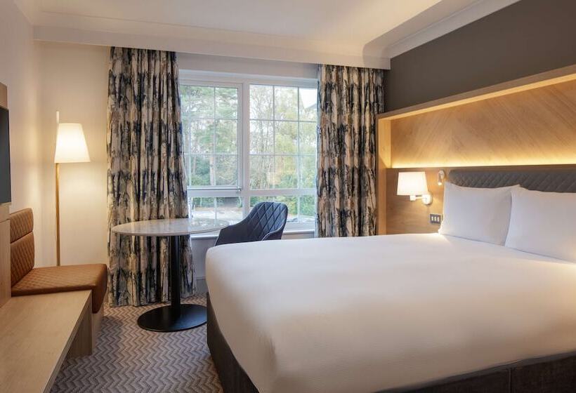 Номер Стандарт Двуспальная Кровать, Hilton Cobham