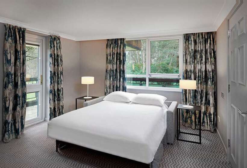 Полулюкс Кровать Кинг, Hilton Cobham