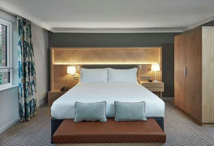סוויטת ג'וניור מיטת קינג, Hilton Cobham
