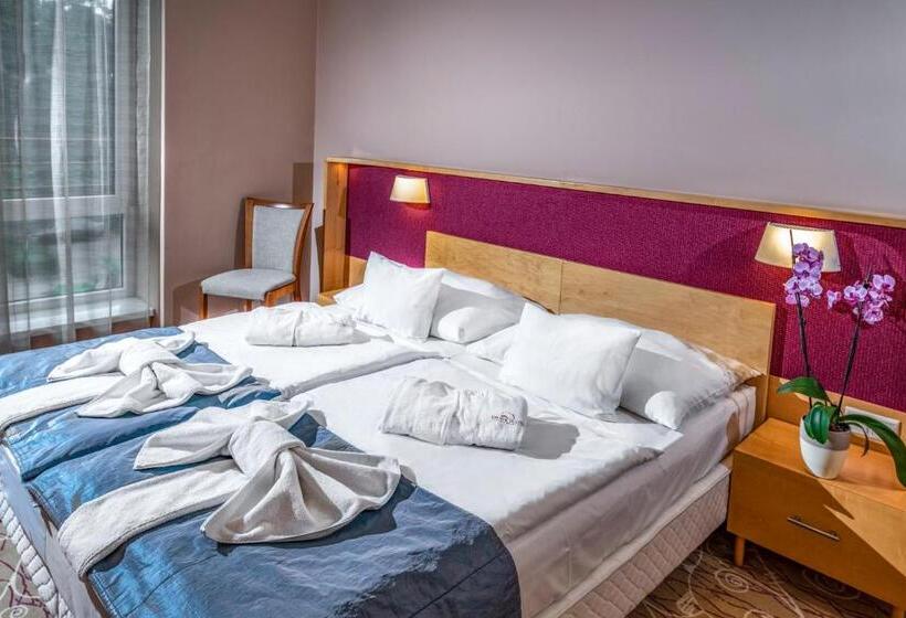 اتاق استاندارد, Dráva Hotel Thermal Resort
