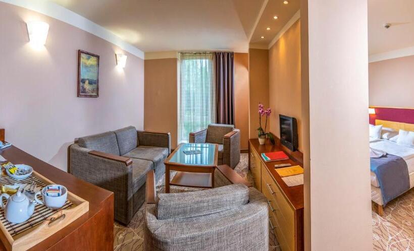 اتاق سوپریور, Dráva Hotel Thermal Resort