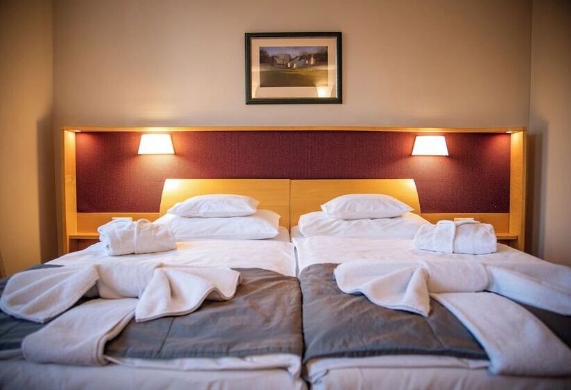 اتاق استاندارد, Dráva Hotel Thermal Resort