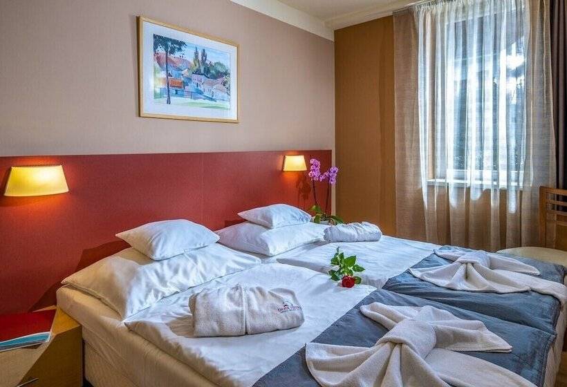 اتاق استاندارد, Dráva Hotel Thermal Resort