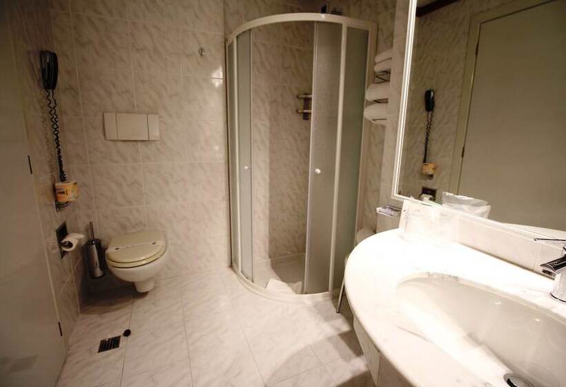 Chambre Standard, Best Western Hotel Moderno Verdi