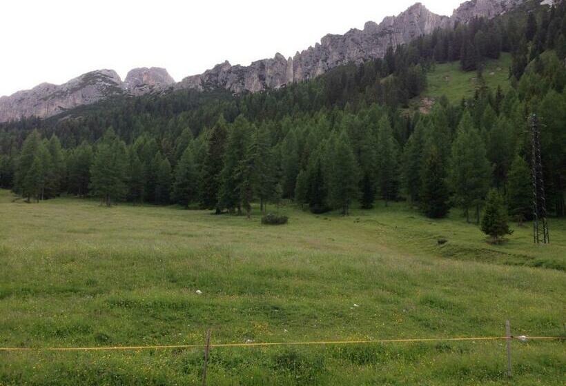 Номер Стандарт, Lavaredo