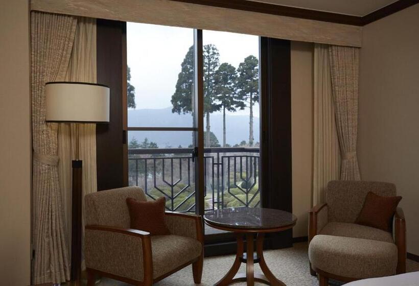 스탠다드 룸, Odakyu Hotel De Yama