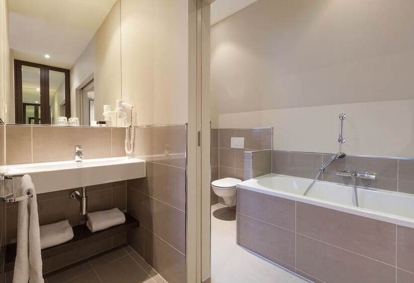 اتاق استاندارد, The Delphi  Amsterdam Townhouse