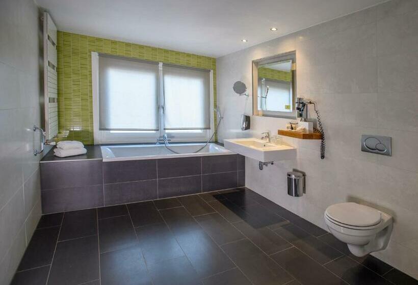 Полулюкс, Parkhotel Valkenburg