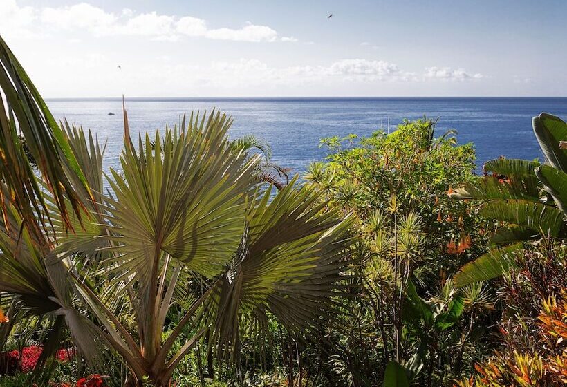 Люкс Повышенной Комфортности, Reid S Palace, A Belmond Hotel, Madeira
