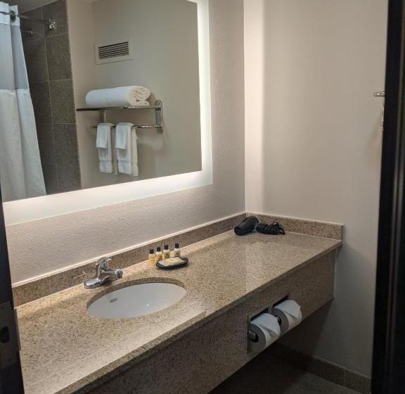 Quarto Standard para Deficientes, Wyndham Indianapolis Airport