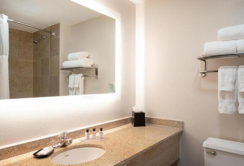 Executive Szoba King Size Bed, Wyndham Indianapolis Airport