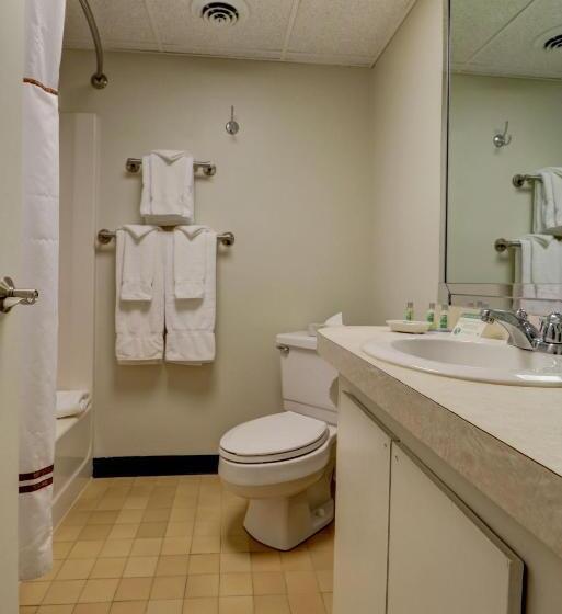 اتاق سوپریور با تخت بزرگ, Fireside Inn & Suites Gilford