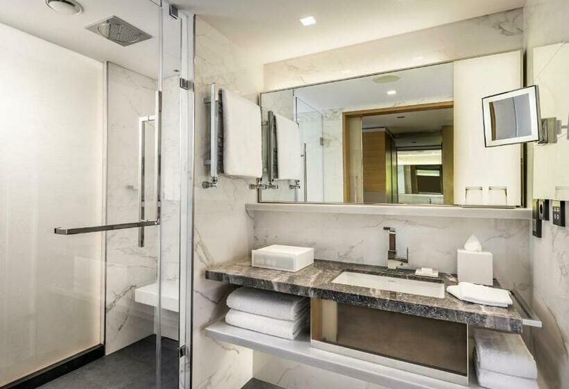 اتاق اجرایی با مشاهده, Swissotel The Bosphorus Istanbul