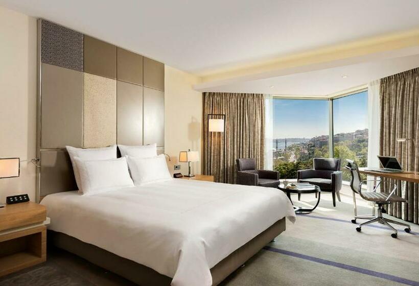 اتاق اجرایی با مشاهده, Swissotel The Bosphorus Istanbul