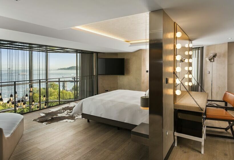 آپارتمان 2 خوابه با تراس, Swissotel The Bosphorus Istanbul