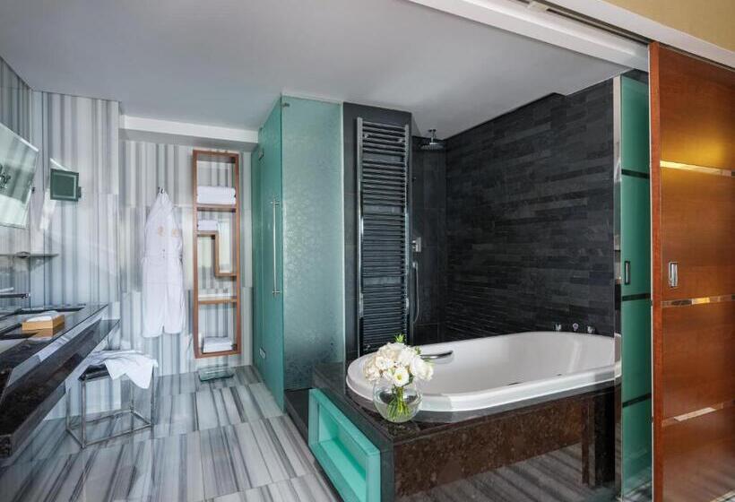 آپارتمان 3 خوابه, Swissotel The Bosphorus Istanbul