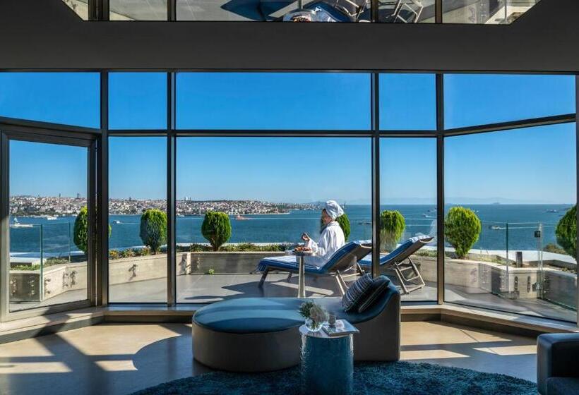 آپارتمان 2 خوابه با تراس, Swissotel The Bosphorus Istanbul