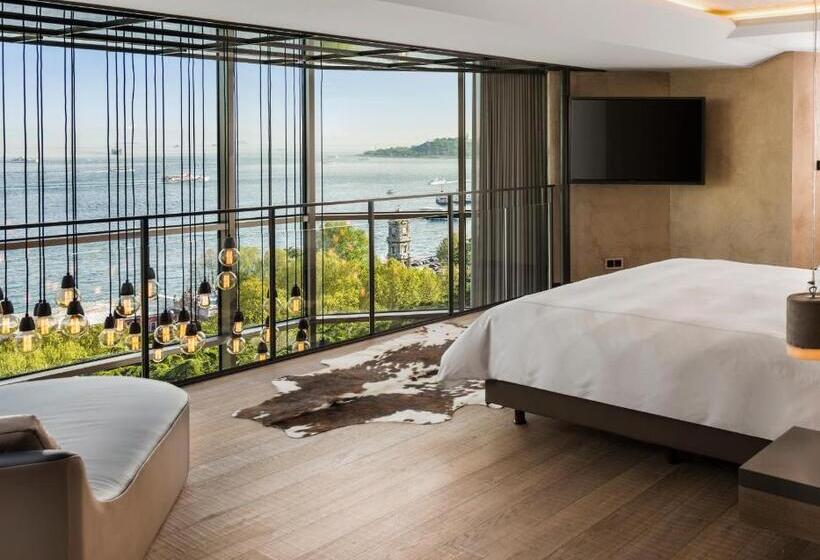 آپارتمان 2 خوابه با تراس, Swissotel The Bosphorus Istanbul