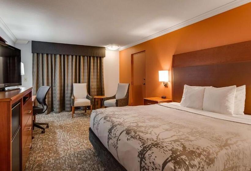 Стандартный Номер Кровать Кинг, Best Western Angus Inn