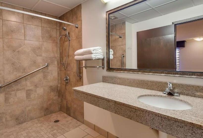 Номер Стандарт Кровать Кинг Адаптированный для Инвалидов, Best Western Angus Inn