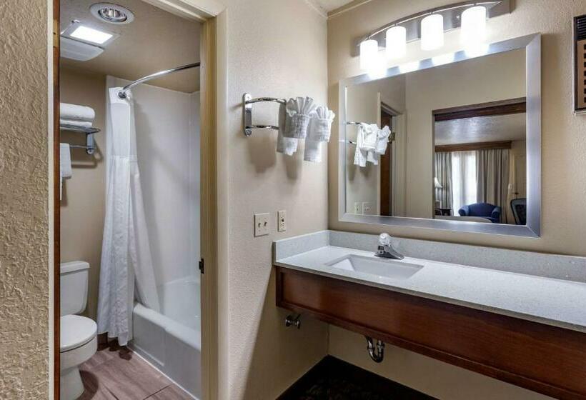 Стандартный Номер Кровать Кинг, Best Western Dunmar Inn