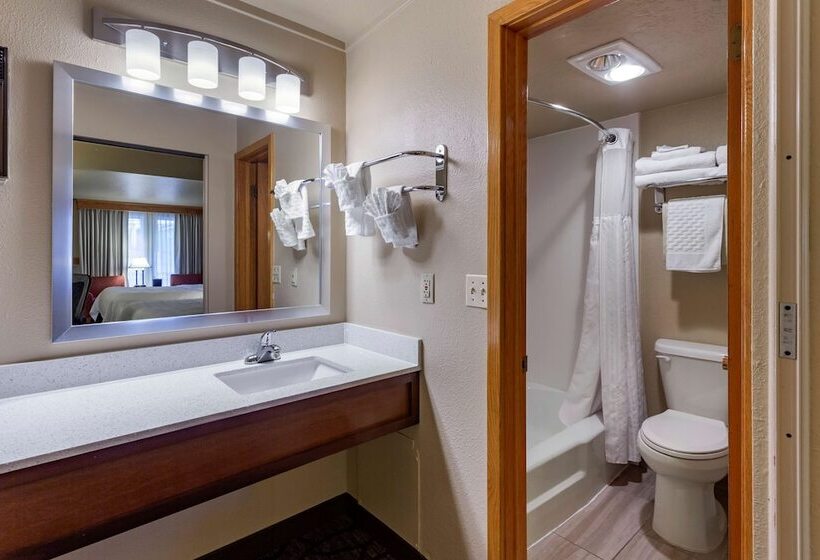Номер Стандарт, Best Western Dunmar Inn