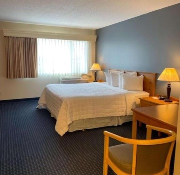 غرفة قياسية سرير كينج, Best Western Inn