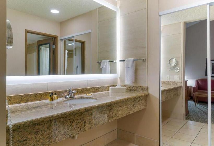 اتاق استاندارد با تخت بزرگ, Best Western Plus Oak Harbor Hotel And Conference Center